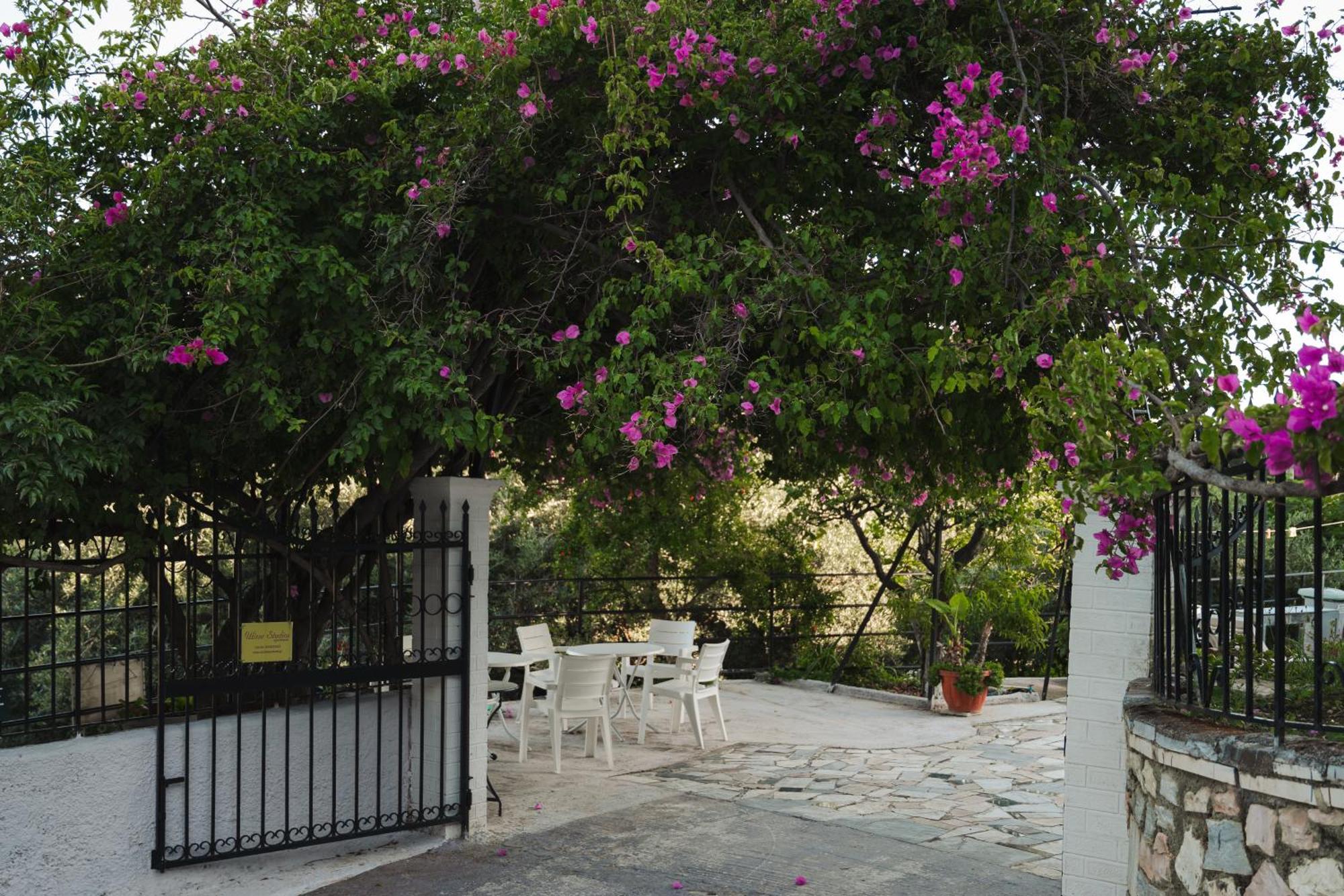 Ulisse Apartments Paleokastritsa Exterior foto